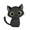 Ericka Cicchillitti profile picture